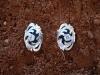 silver earrings